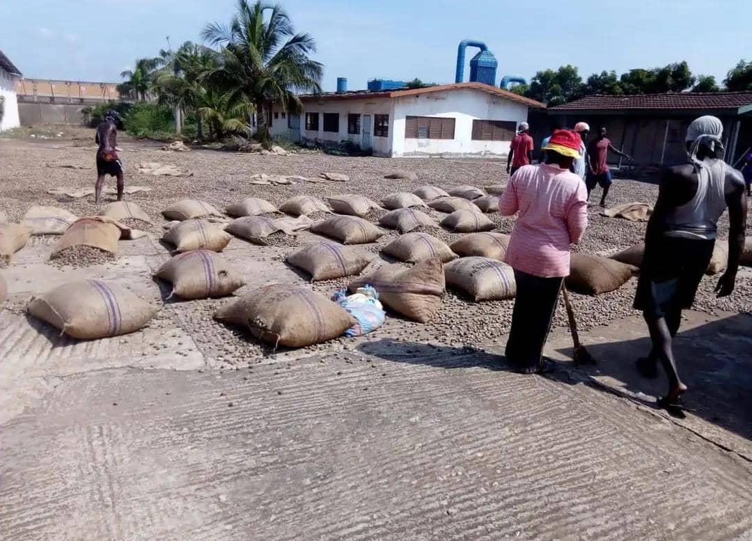 Agribusiness Operations