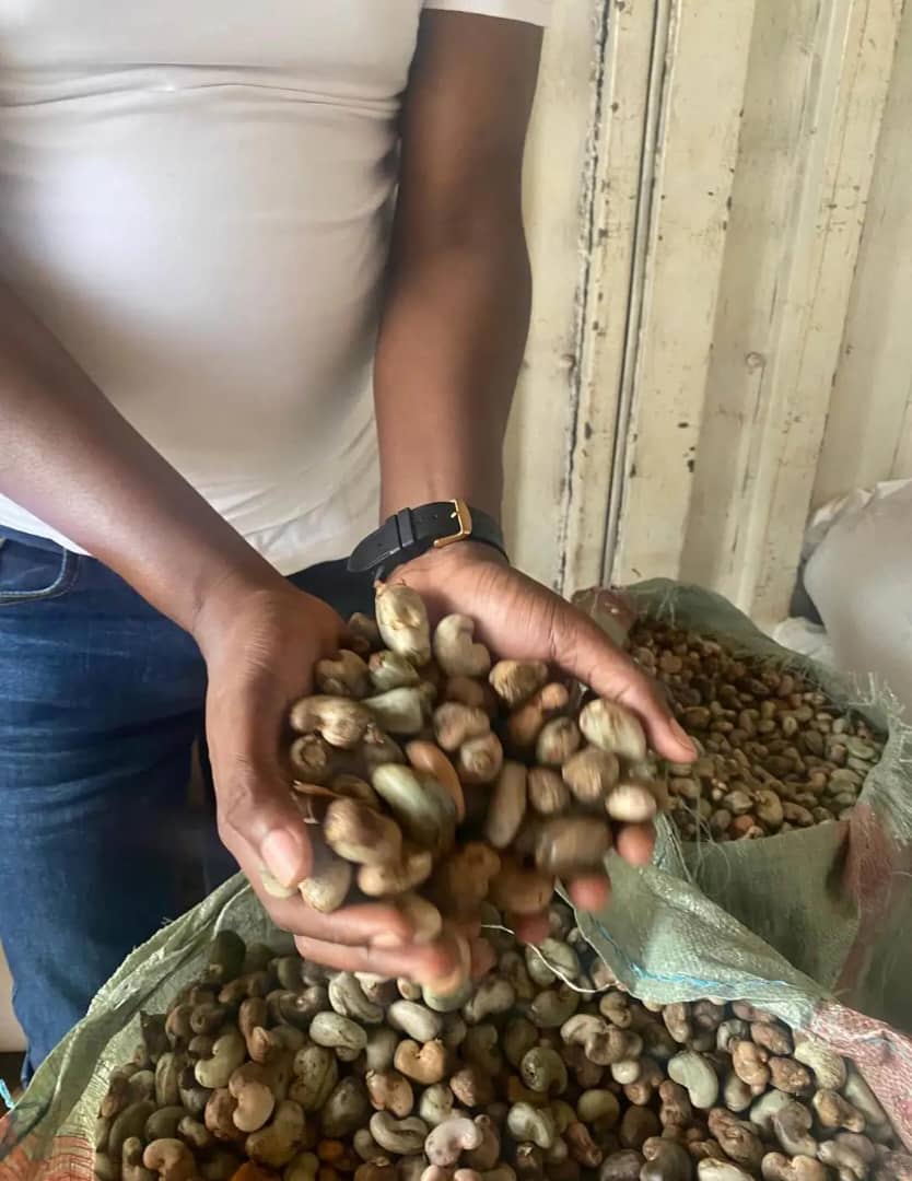 Agribusiness Operations